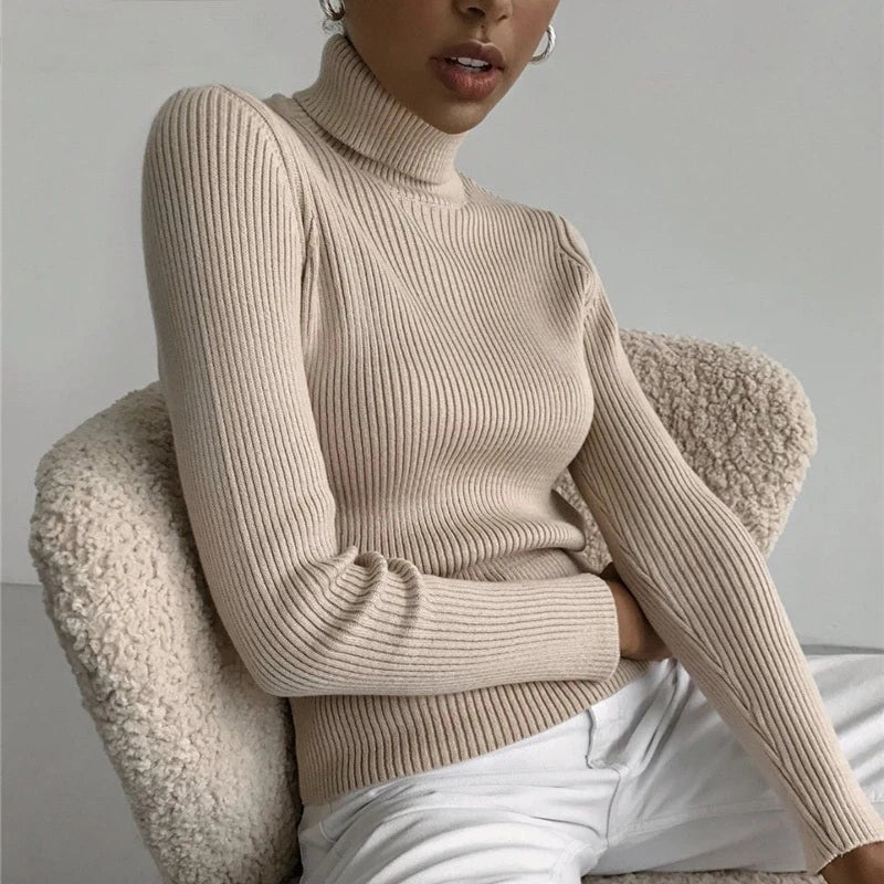 Heliar Women Fall Turtleneck Sweater Knitted Soft Pullovers Cashmere Jumpers Basic Soft Sweaters For Women 2024 Autumn Winter